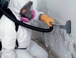 Forensic Mold Investigation in Hilton Head Island, SC